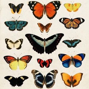 Meet your Posher, Oana